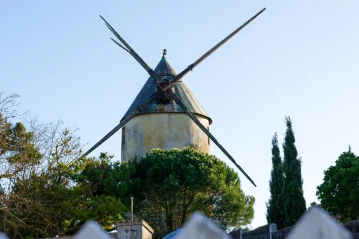 Image qui illustre: Moulins de la Guérinière