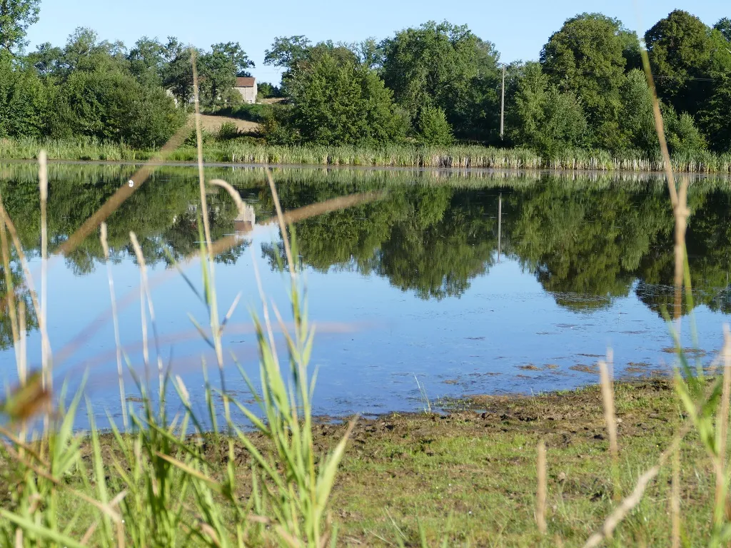 Image qui illustre: Plan D'eau De La Naute à Champagnat - 1