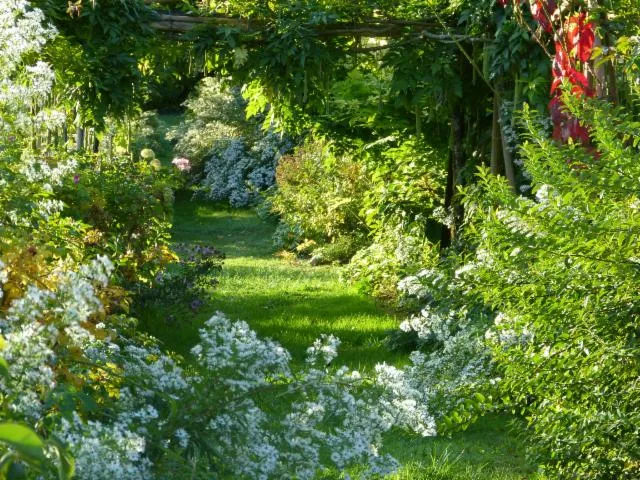 Image qui illustre: Visite de la roseraie du manoir de Val en Sel