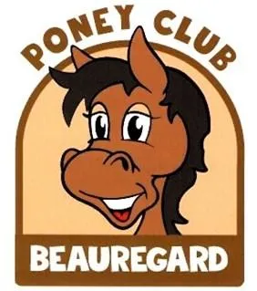 Image qui illustre: Haras De Mauret - Poney Club Beauregard