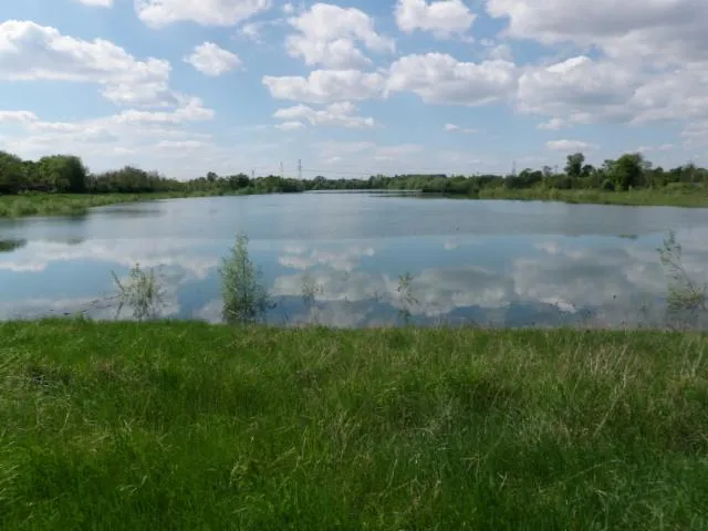 Image qui illustre: Plan d'eau "les Grèves des Tuileries"