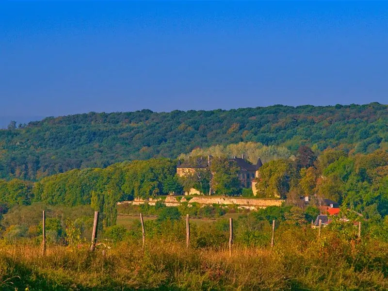 Image qui illustre: Gr5 De Kédange-sur-canner À Metz à Kédange-sur-Canner - 0