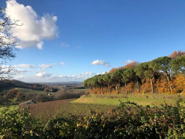 Image qui illustre: Boucle de Pierre Loti