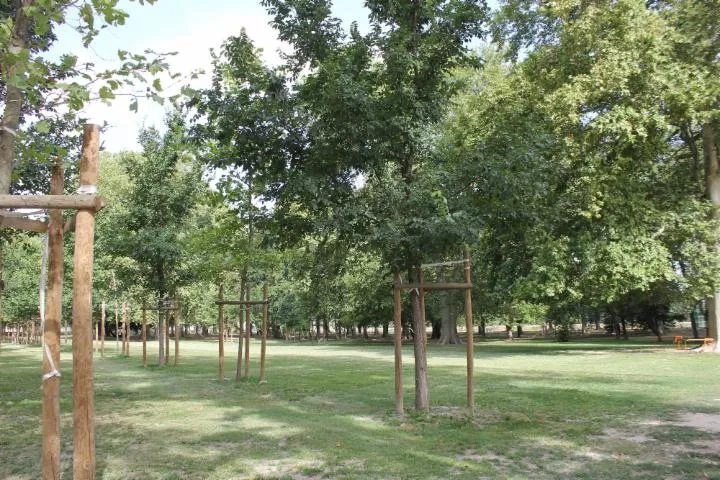 Image qui illustre: Parc Du Château