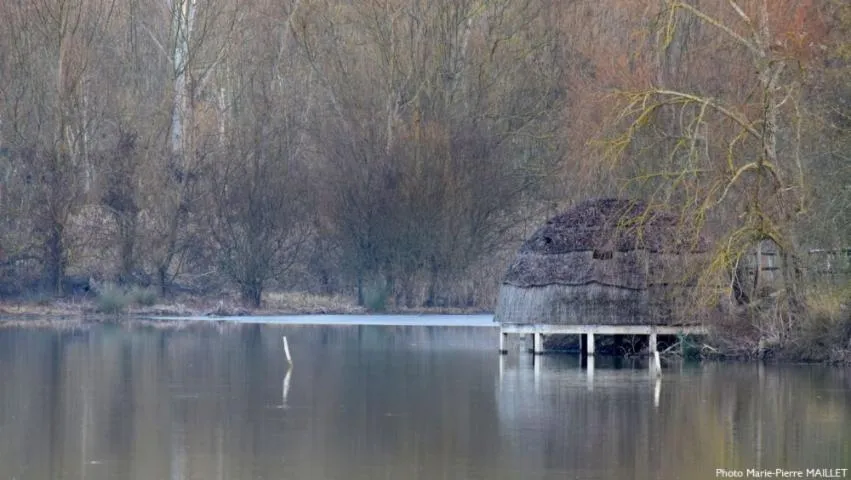 Image qui illustre: Sentier d'interprétation du Lac de L'Escourou