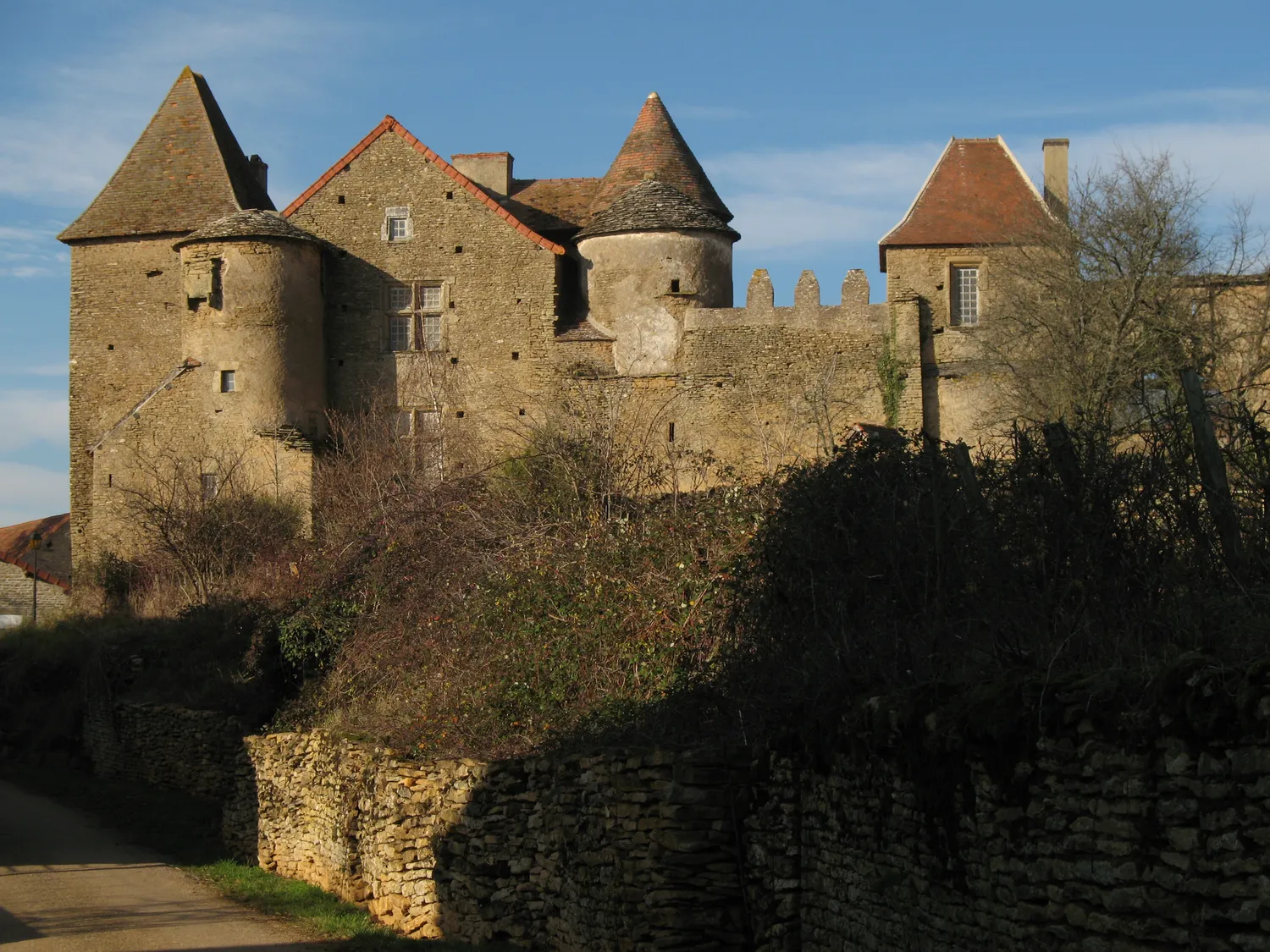 Image qui illustre: Château Pontus De Tyard à Bissy-sur-Fley - 0
