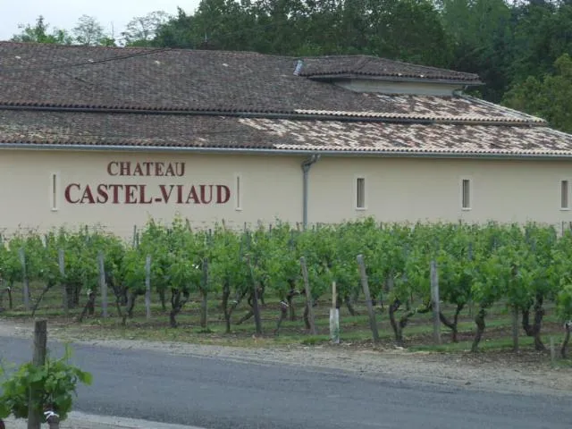 Image qui illustre: Château Castel Viaud