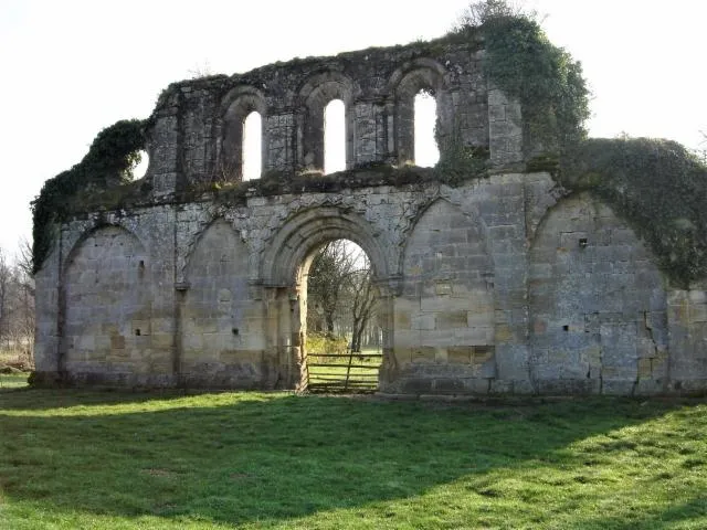 Image qui illustre: Les ruines de l'abbaye de Haute Seille