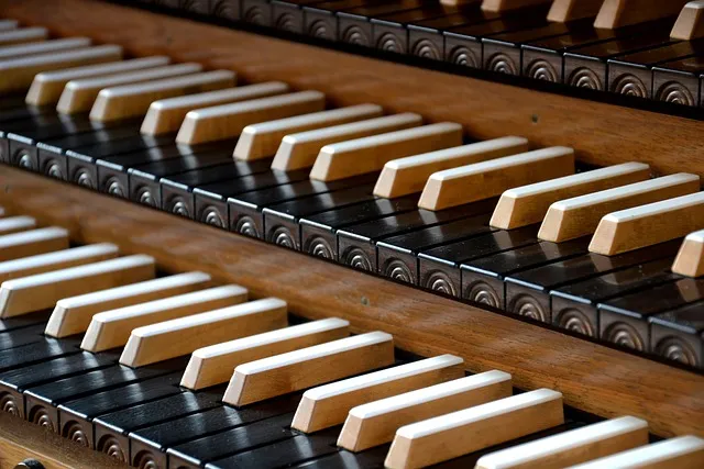 Image qui illustre: Concert D'orgue À L'église Saint Denis à Amboise - 0