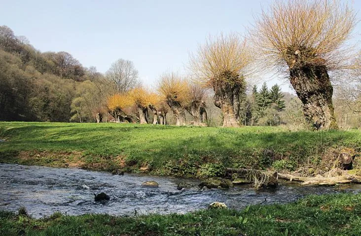 Image qui illustre: La vallée du Nanhol