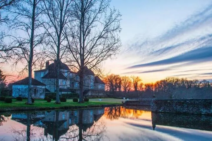 Image qui illustre: Château De Campet