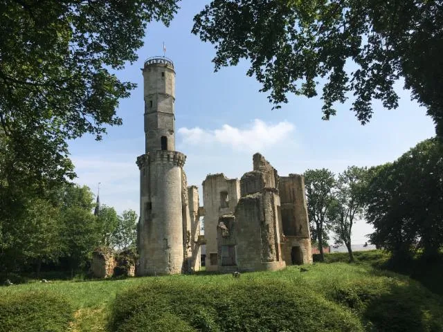 Image qui illustre: visite guidée du site du château de Folleville