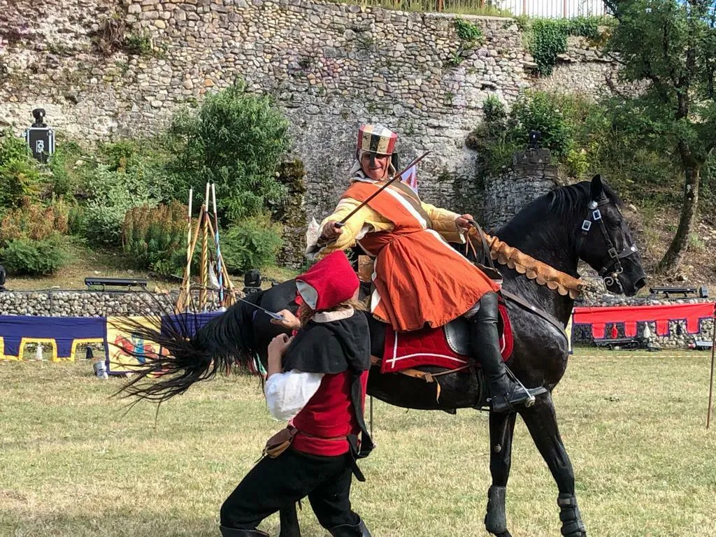 Image qui illustre: Spectacle de combat médiéval à pied et à cheval à Joinville - 0