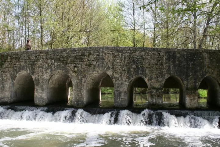 Image qui illustre: Le Pont Du Gril De Corbelin