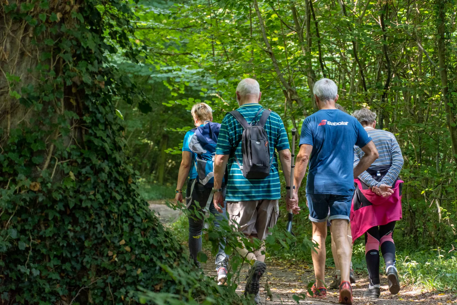 Image qui illustre: Marche familiale à Thiembronne à Thiembronne - 0