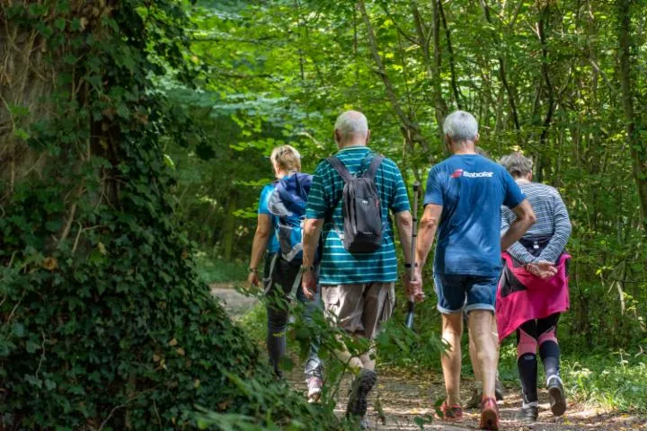 Image qui illustre: Marche familiale à Thiembronne