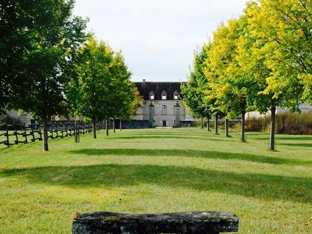 Image qui illustre: Château Et Ferme De Châteaufer