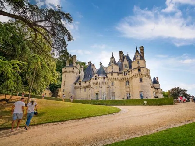 Image qui illustre: Château d'Ussé