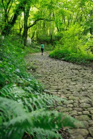 Image qui illustre: Visite du village Montagna-le-Reconduit et vide-maison