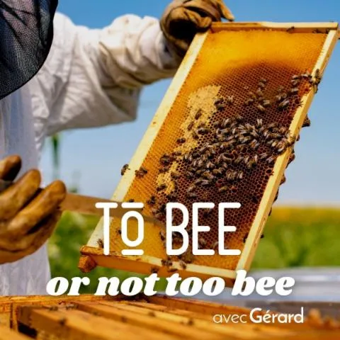 Image qui illustre: Plongez-vous dans le monde merveilleux des abeilles