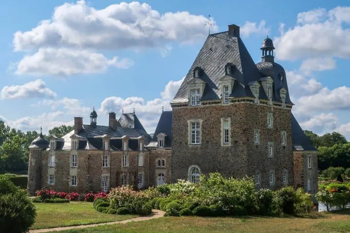 Image qui illustre: Château Des Arcis