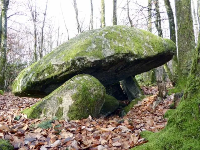 Image qui illustre: Base VTT FFC des Monts du Limousin - Circuit 4 Le dolmen