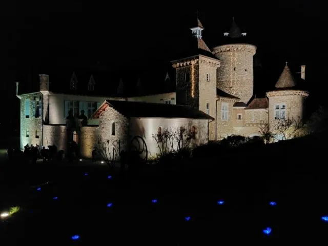 Image qui illustre: Animations au Château de Saint Chef Teyssier de Savy