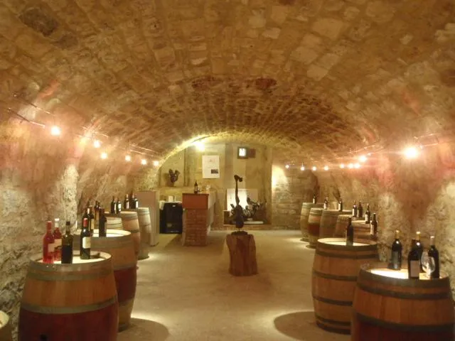 Image qui illustre: Cave Des Vignerons De Puy-L'evêque