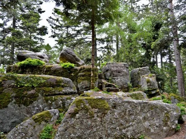 Image qui illustre: Circuit Rando - Le Koenigsstuhl Et La Roche Du Tétras Par Saint-alexis