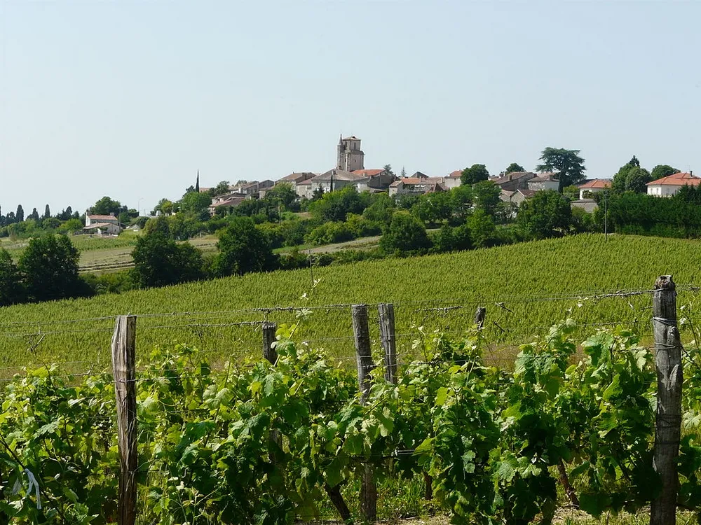 Image qui illustre: Village de Montagnac-sur-Auvignon à Montagnac-sur-Auvignon - 0