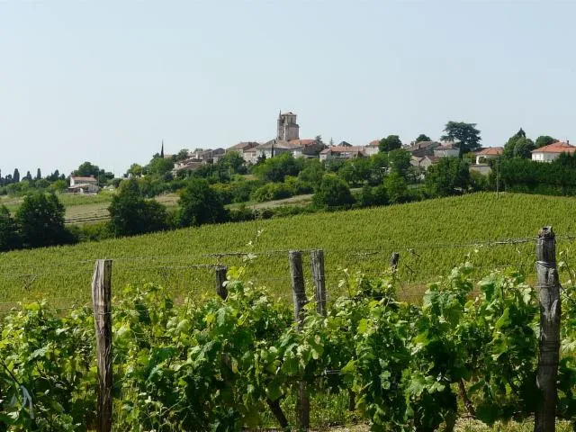 Image qui illustre: Village de Montagnac-sur-Auvignon