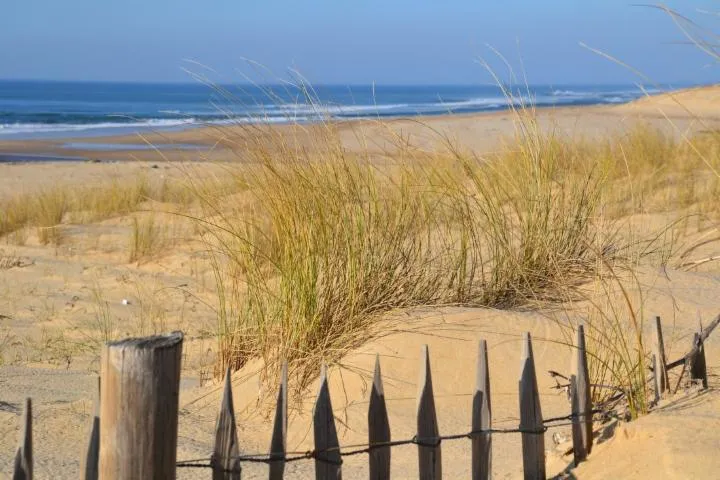 Image qui illustre: Plage Centrale