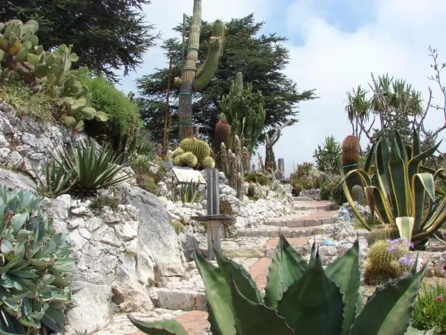 Image qui illustre: Jardin Exotique d'Eze