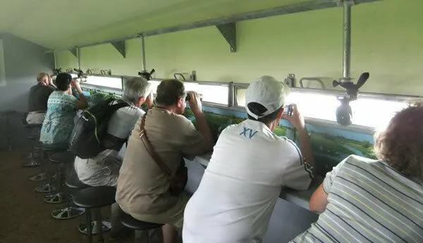 Image qui illustre: Visites guidées de l’observatoire ornithologique du lac de Grand Lieu