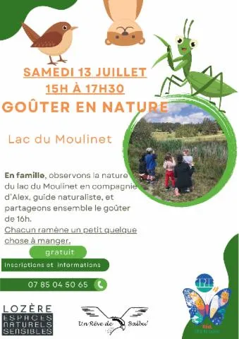Image qui illustre: Balade Et Gouter En Nature Au Lac Du Moulinet
