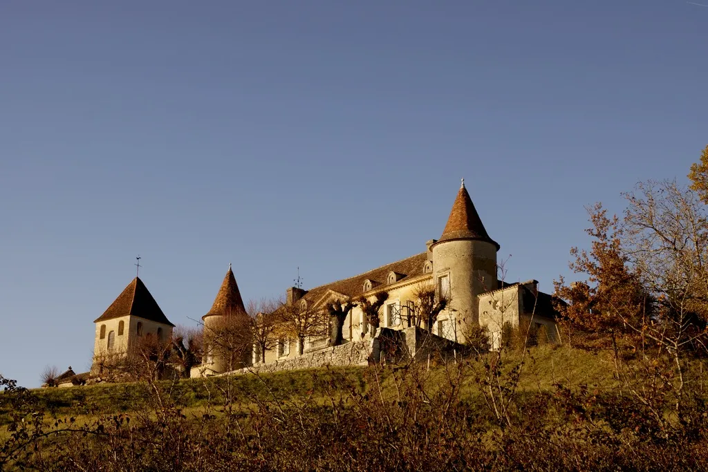 Image qui illustre: Paysages Et Vignobles - Villefranche De Lonchat à Carsac-de-Gurson - 1