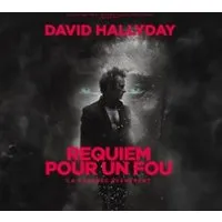 Image qui illustre: David Hallyday - Requiem pour un Fou - Tournée à Riorges - 0
