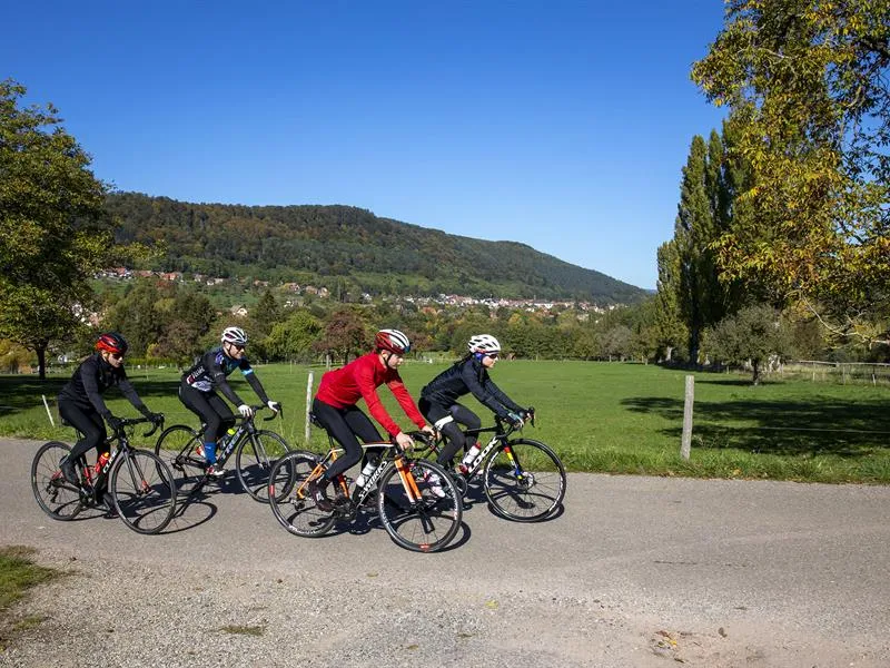 Image qui illustre: Circuit Vélo - Entre Sommets Et Piémont à Ottrott - 2