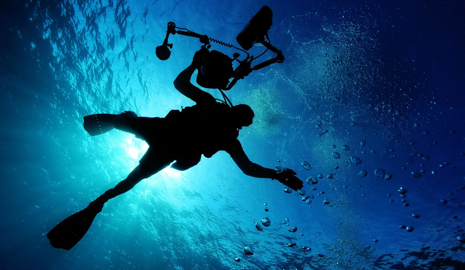 Image qui illustre: Plongée sous-marine : DIVE CENTRE TRAVEL SUB à  - 1