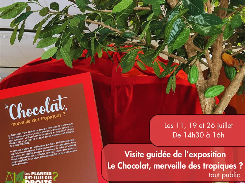 Image qui illustre: Visite Guidée De L'exposition - Le Chocolat Merveille Des Tropiques à Villers-lès-Nancy - 0