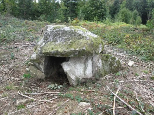 Image qui illustre: Circuit pédestre n°M02 Promenade des dolmens