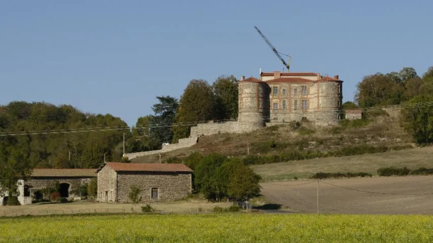 Image qui illustre: Visite commentée du Château de La Chaux Montgros
