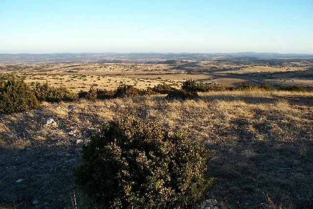 Image qui illustre: Parc naturel régional des Grands Causses