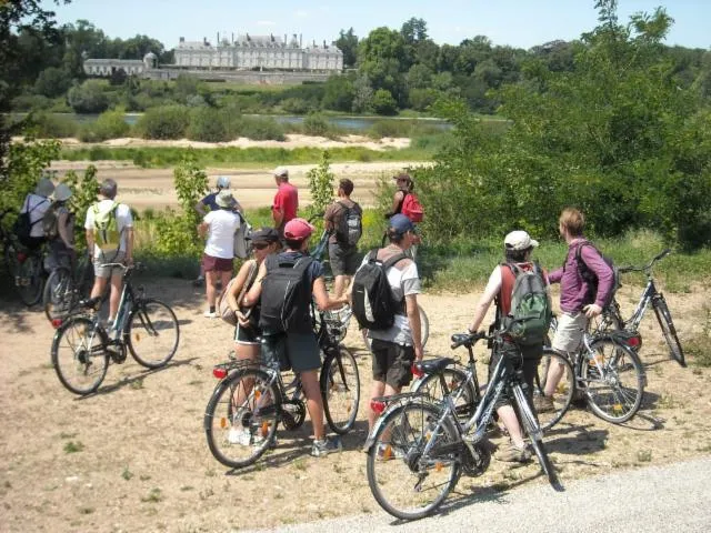 Image qui illustre: Location De Vélo Avec L'observatoire Loire
