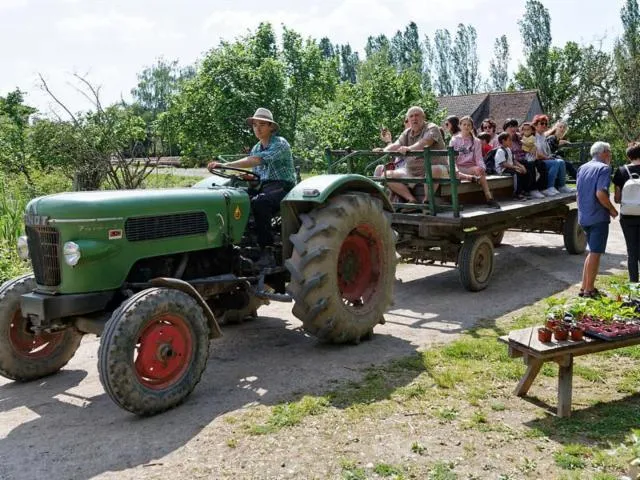 Image qui illustre: Écomusée D'alsace