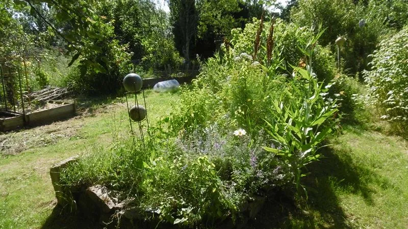 Image qui illustre: Spectacle Au Jardin Du Beau à Chaillac - 0