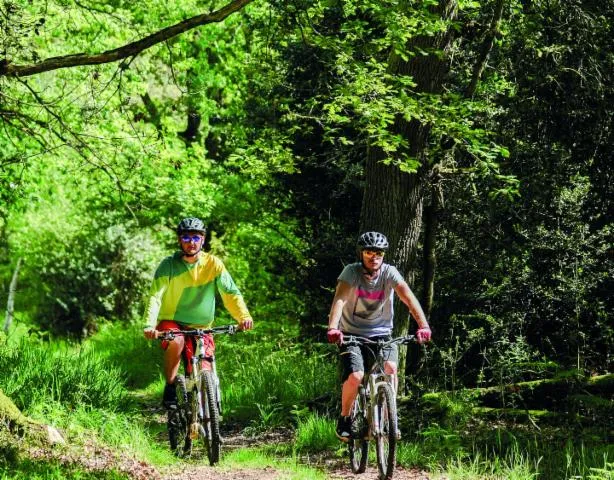 Image qui illustre: De Sauvagnon À La Forêt De Bastard En Vtt