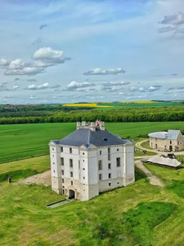 Image qui illustre: Château de Maulnes