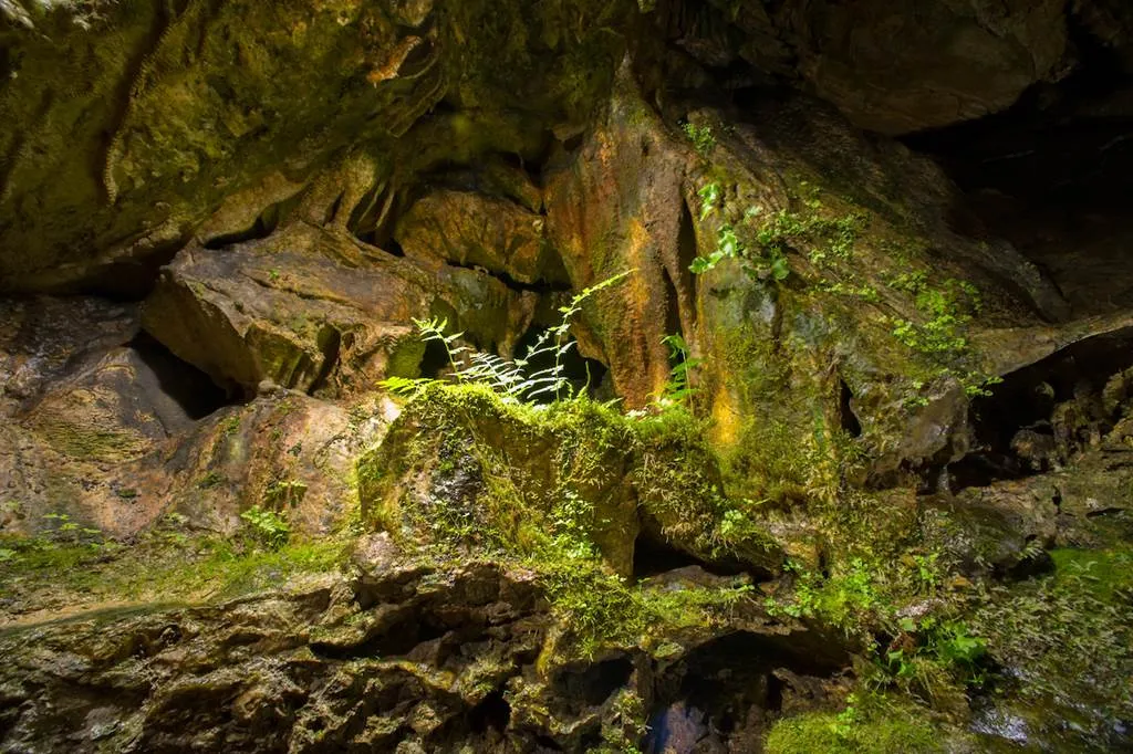 Image qui illustre: La Grotte De Nichet à Fromelennes - 2