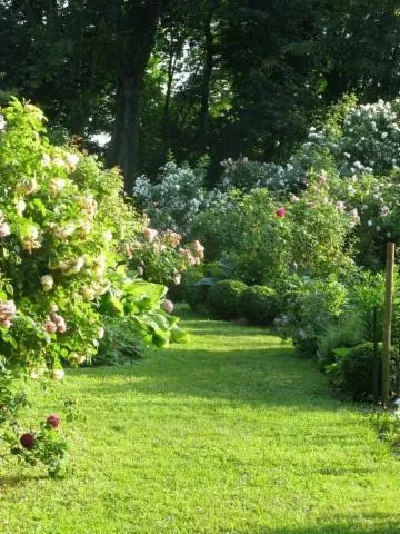 Image qui illustre: Visite du jardin de la Belle Allemande